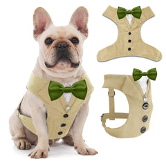 AVERYDAY esmoquin para perro, frente, ideal para bodas y fotos elegantes.