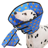 Avont cono para perro, frente, protección suave para la herida durante la recuperación.