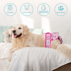 Avont panales lavables para perras: capa impermeable para evitar manchas.