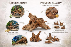 Azil driftwood para acuario, decoración natural y refugio para peces.