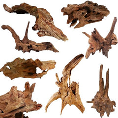 Azil driftwood para hogar u oficina, decoración natural en interior.
