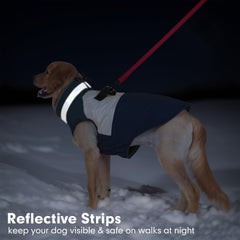 Cinta reflectante de la chaqueta Azuza para visibilidad nocturna.