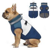 Chaqueta Azuza para perros pequeños con cierre en la espalda, fácil de poner.