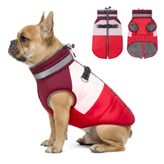 Azuza chaqueta para perro pequeño – cierre trasero, fácil de colocar en paseos diarios