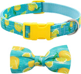 Collar azuza para perro con lazo ajustable para paseos cómodos y elegancia diaria.