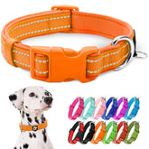 Collar azuza reflectante para perro con neopreno acolchado, ideal para paseos nocturnos