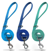 Set de correas azuza en azul royal para paseos diarios.