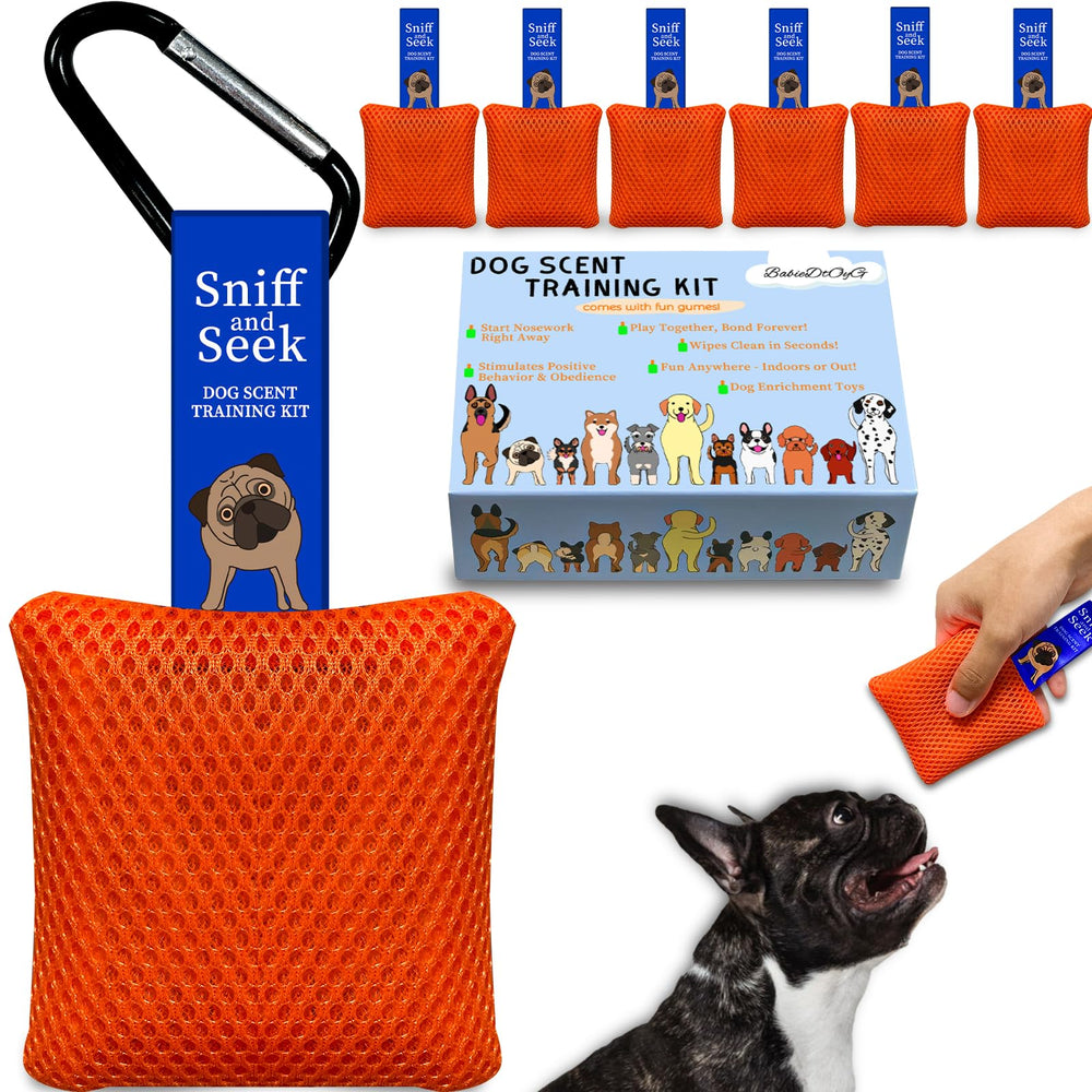 BabieDtOyG entrenamiento olfativo para perros; fortalece vínculo entre dueño y mascota.