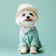 Collar ajustable Babole Pet para perros pequeños, cómodo y ligero para paseos diarios.