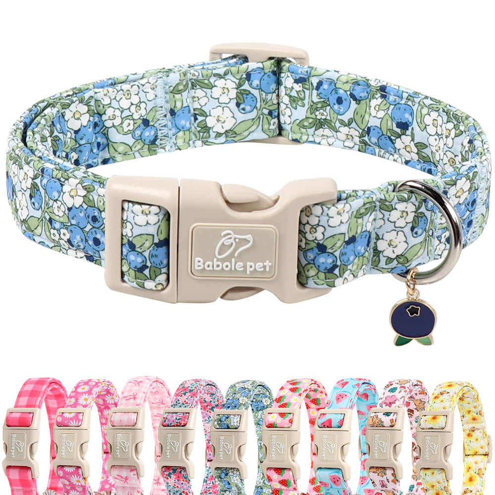 Babole Pet collar con patrón arándano en la frente, ideal para paseos con estilo