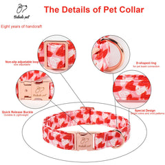 Babole Pet collar con estampado de corazones, añade encanto a cada paseo.