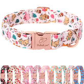 Babole Pet collar dinosaurio rosa talla S, cómodo para perros pequeños.