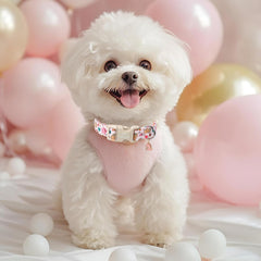 Collar Babole Pet dinosaurios rosados anilla para correa segura