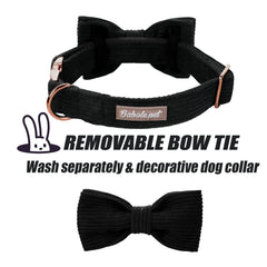 Collar corduroy Babole Pet con diseño artesanal