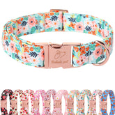 Collar Babole Pet floral veraniego para perros pequeños, cómodo para paseos.