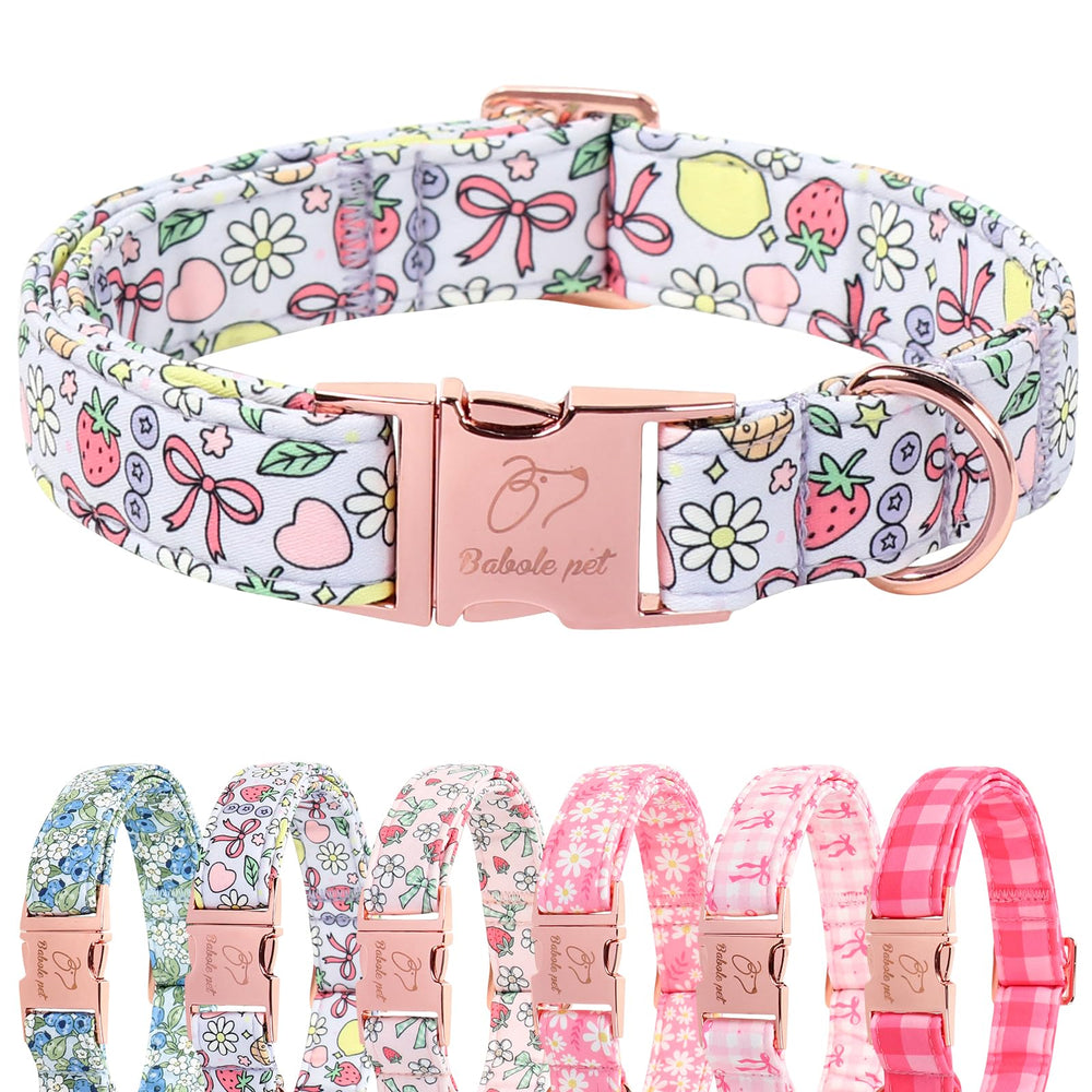 Collar Babole Pet con estampado fruta jardin, perfecto para paseos diarios al aire libre