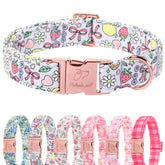 Collar Babole Pet con estampado fruta jardin, perfecto para paseos diarios al aire libre