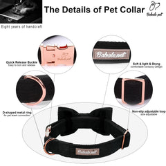 Babole Pet collar con hebilla metalica para ajuste seguro
