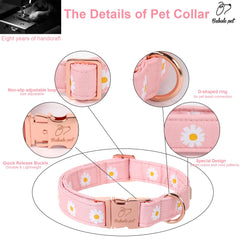 Collar Babole Pet, algodón suave y transpirable para uso diario