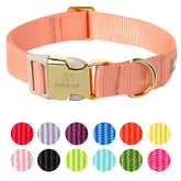 Collar Babole Pet naranja con ajuste cómodo para paseos diarios.
