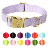 Collar de nylon Babole Pet ajustable en lavanda para paseos diarios.