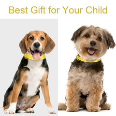 Collar Babole Pet para perros medianos con banda de nylon duradera