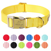 Collar Babole Pet de nylon con hebilla de seguridad en amarillo, ideal para paseos diarios