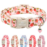 Collar Babole Pet para perro pequeño en tono fresa rosa, cómodo y ligero para uso diario.