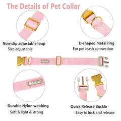 Babole Pet collar nylon rosado diseño unicolor, color vibrante para destacar.
