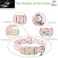 Babole Pet collar con hebilla de liberación rápida para fácil retiro