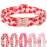 Babole Pet collar San Valentín con corazón rosa, ideal para sesiones de fotos.