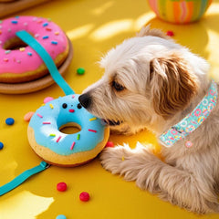 Collar Babole Pet mint con helado, ideal para paseos improvisados