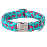 Collar Babole Pet Verano Flamingo, color vibrante para paseos con estilo.