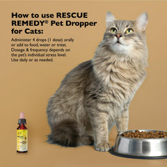 Dosis fácil Rescue Remedy para gatos: añade a comida o agua