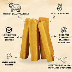 Back 40 Dogs Yak Cheese Himalaya: olor neutro para uso en interiores sin molestias