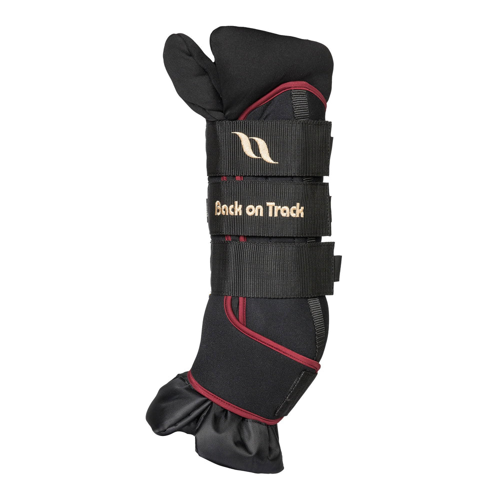 Back on Track Royal Quick Wraps Deluxe en caballo, soporte para movilidad y confort durante el entrenamiento.
