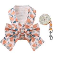 Arnés BAEJMJK con lazo grande y margarita; ideal para paseos con estilo.