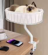 BALORAY cama de escritorio para gatos con marco metálico estable