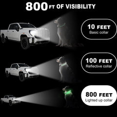 Collar Bamda LED con batería de 300mAh para mayor duración.