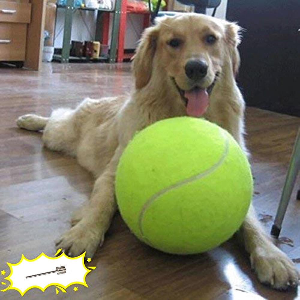 Banfeng bola tenis perro grande amarilla con rebote potente para juego al aire libre.
