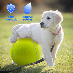 Banfeng bola tenis perro grande amarilla ideal para persecución y ejercicio.