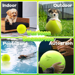 Banfeng entrenamiento al aire libre con balón de tenis grande para perros.