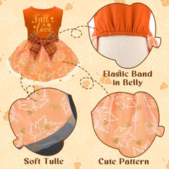 Baobicute diseño con hojas de arce y lazo naranja, añade encanto en eventos.