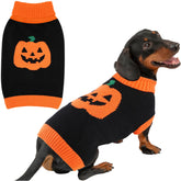 BAOBICUTE disfraz de perro con calabaza en la espalda, ideal para fiestas.