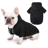 Baobicute sudadera para perro, vista frontal, ideal para paseos en clima frío.