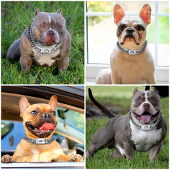 Baobote collar de cadena plateada con anilla en D soldada para durabilidad