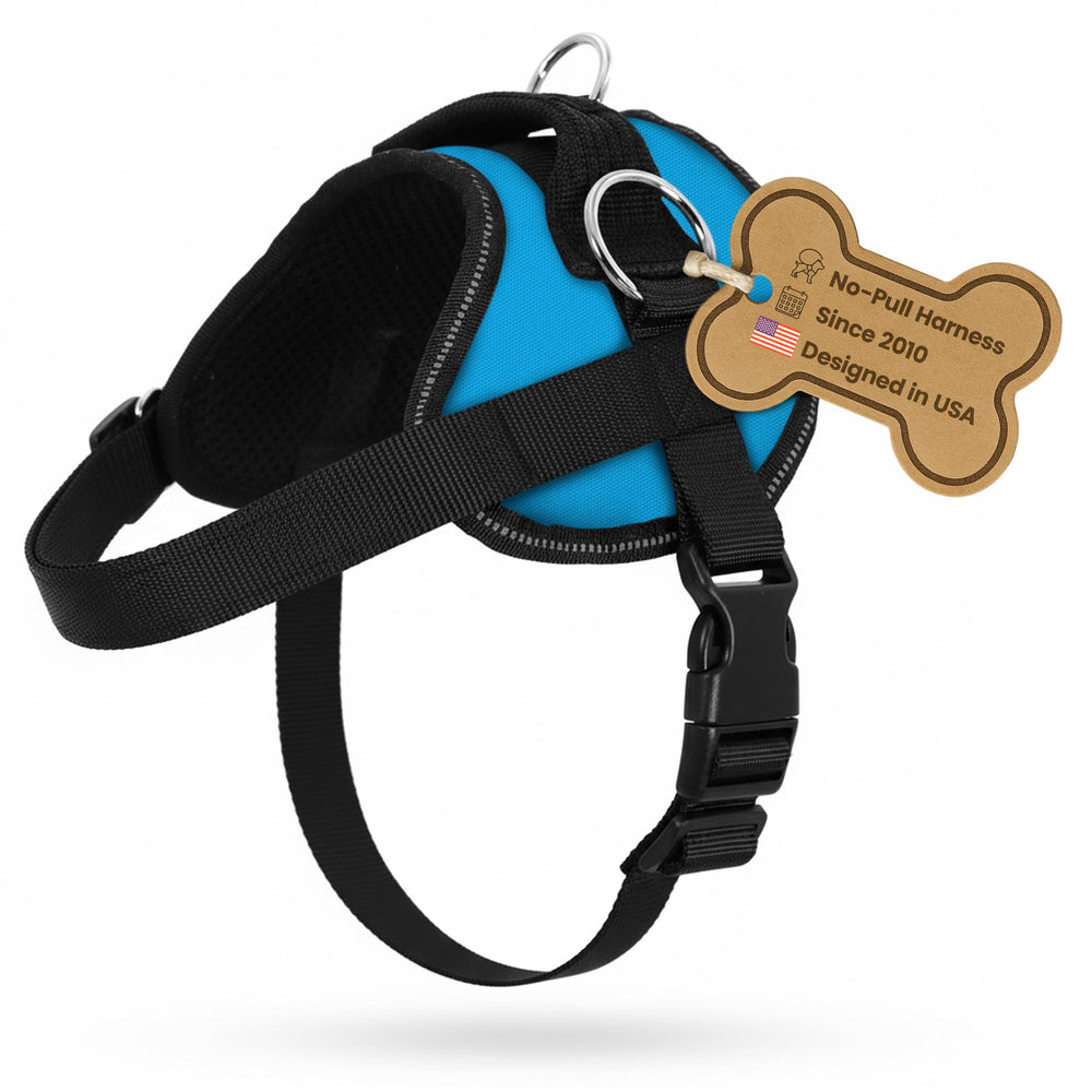 Arnés Bark Appeal azul aqua anti-tiro para paseos seguros y cómodos.