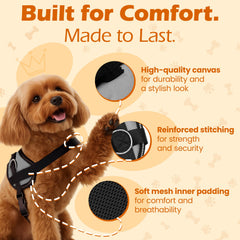 Bark Appeal con borde reflectante para mayor visibilidad en salidas nocturnas.