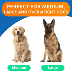 BARK&SPARK fórmula aprobada por veterinarios para articulaciones y flexibilidad