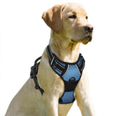 BARKBAY arnés con clip frontal para control más suave durante paseos.